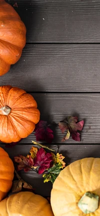 Autumn Harvest: A Rustic Display of Pumpkins and Fallen Leaves