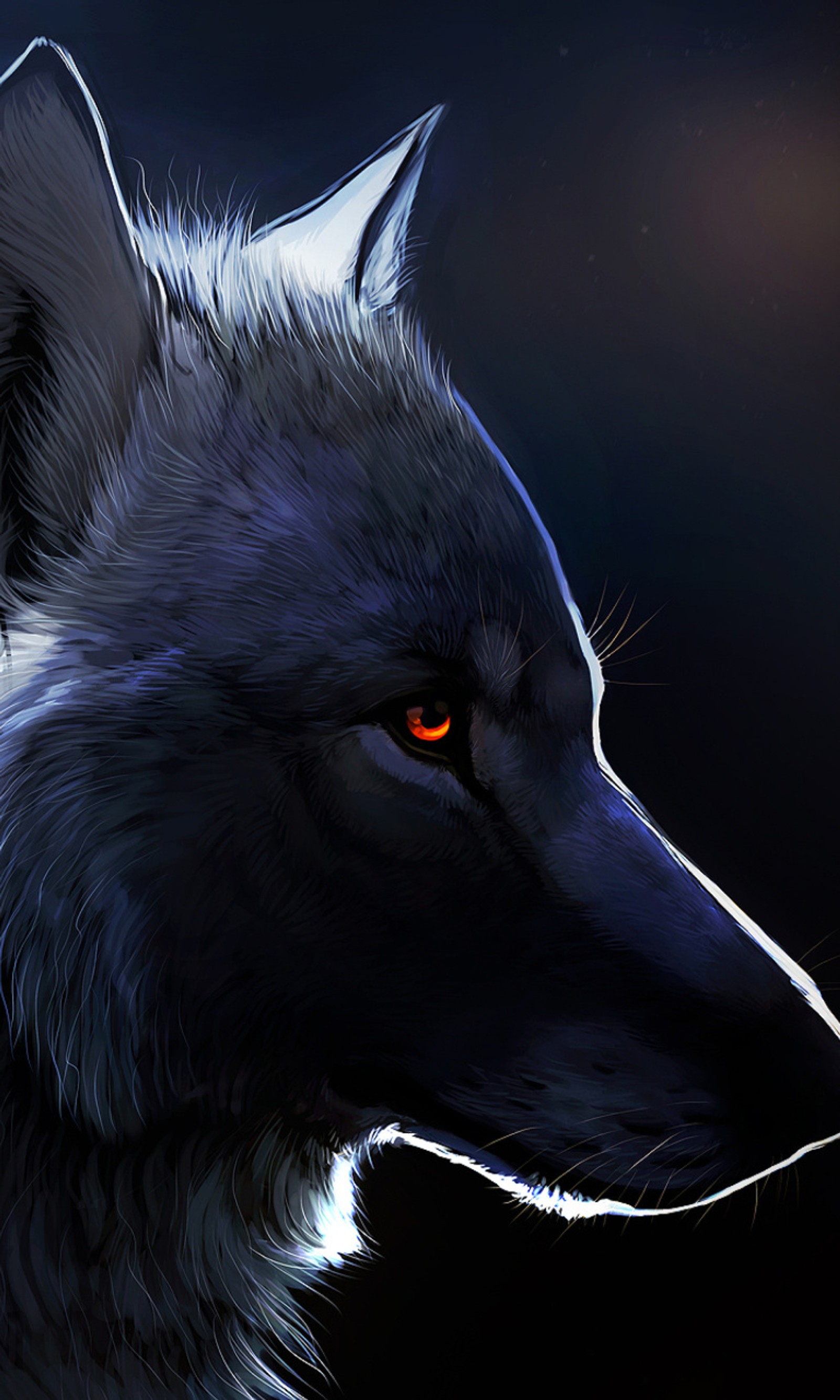 eyes, wolf wallpaper