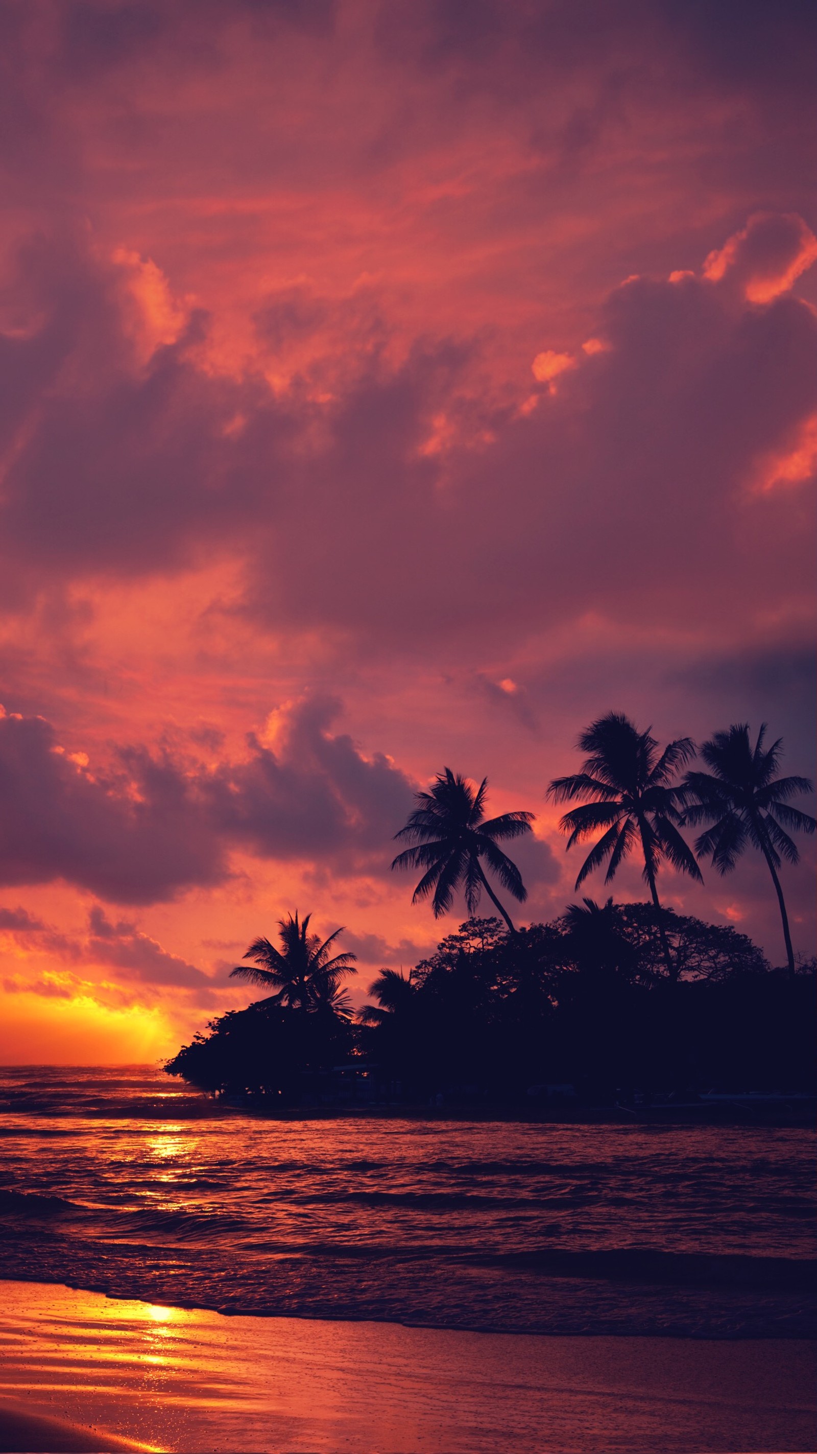 Sunset on a tropical beach with palm trees and a body of water (glow, sunset)