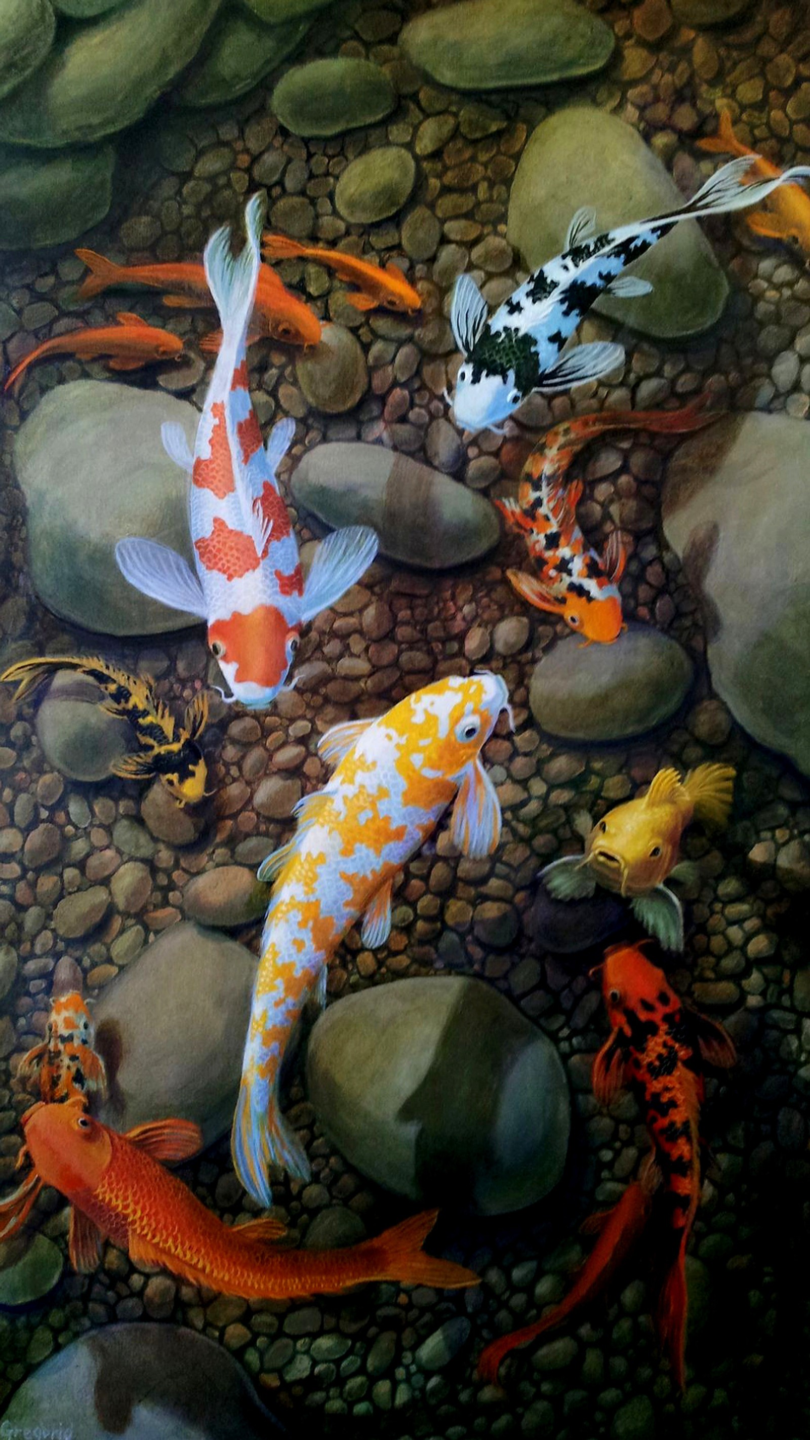 Pintura de un grupo de peces koi nadando en un estanque (payaso, pez, koi, piscina, piedras)