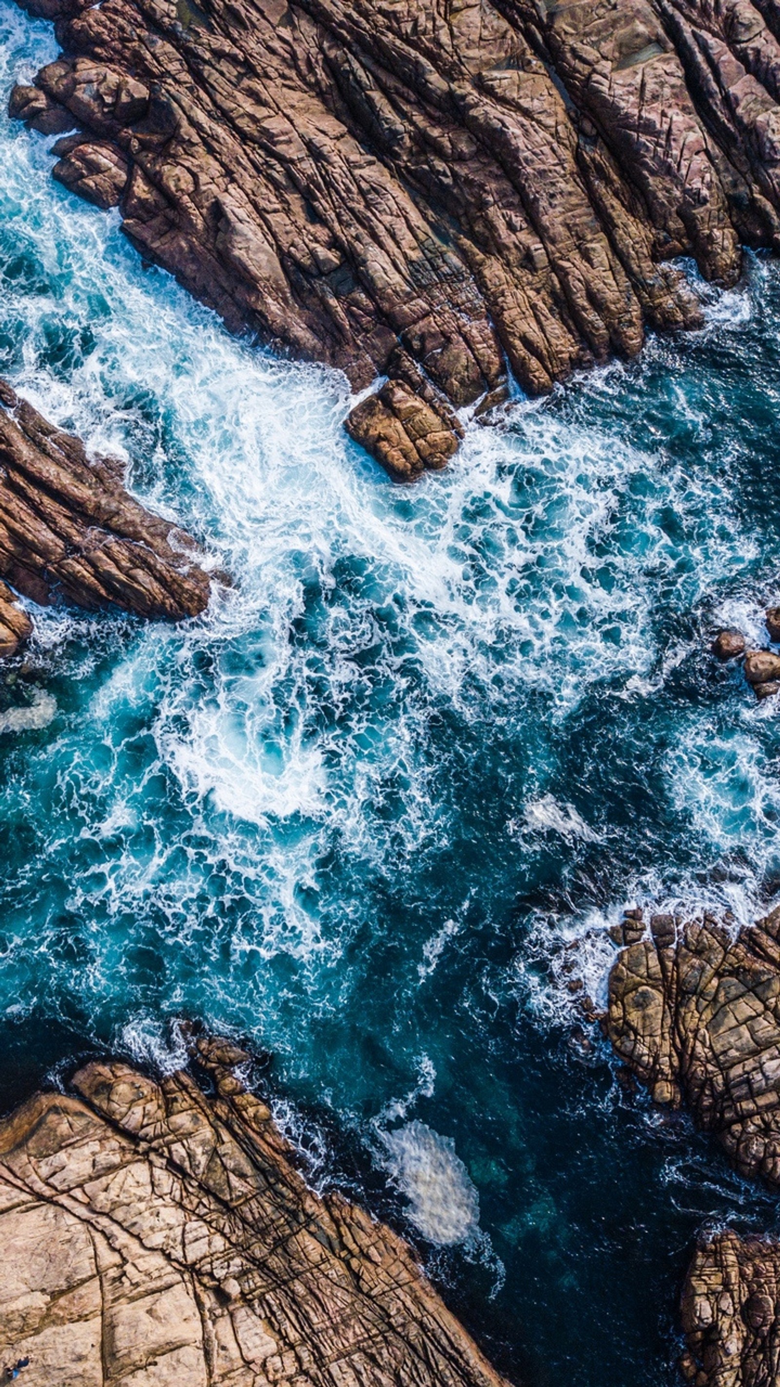 Jirafas de pie sobre las rocas cerca del océano (forma, azul, mar)