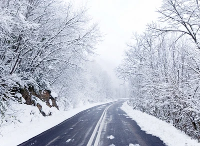 Estrada de inverno nevada cercada por árvores cobertas de geada