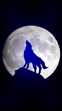 Wolf howling at the moon.