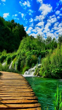 Wood Walkway Along a Serene Creek with Waterfalls and Lush Greenery