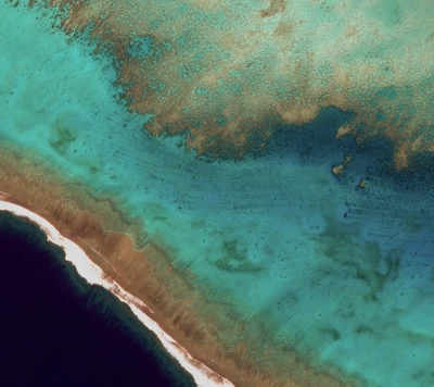 Vibrant Aerial View of Tropical Shoreline with Rich Blue Waters and Coral Reefs