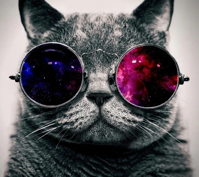 cat, lindo, galaxia, gafas, hipster