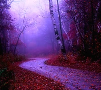 Sentier d'automne brumeux à travers un feuillage vibrant