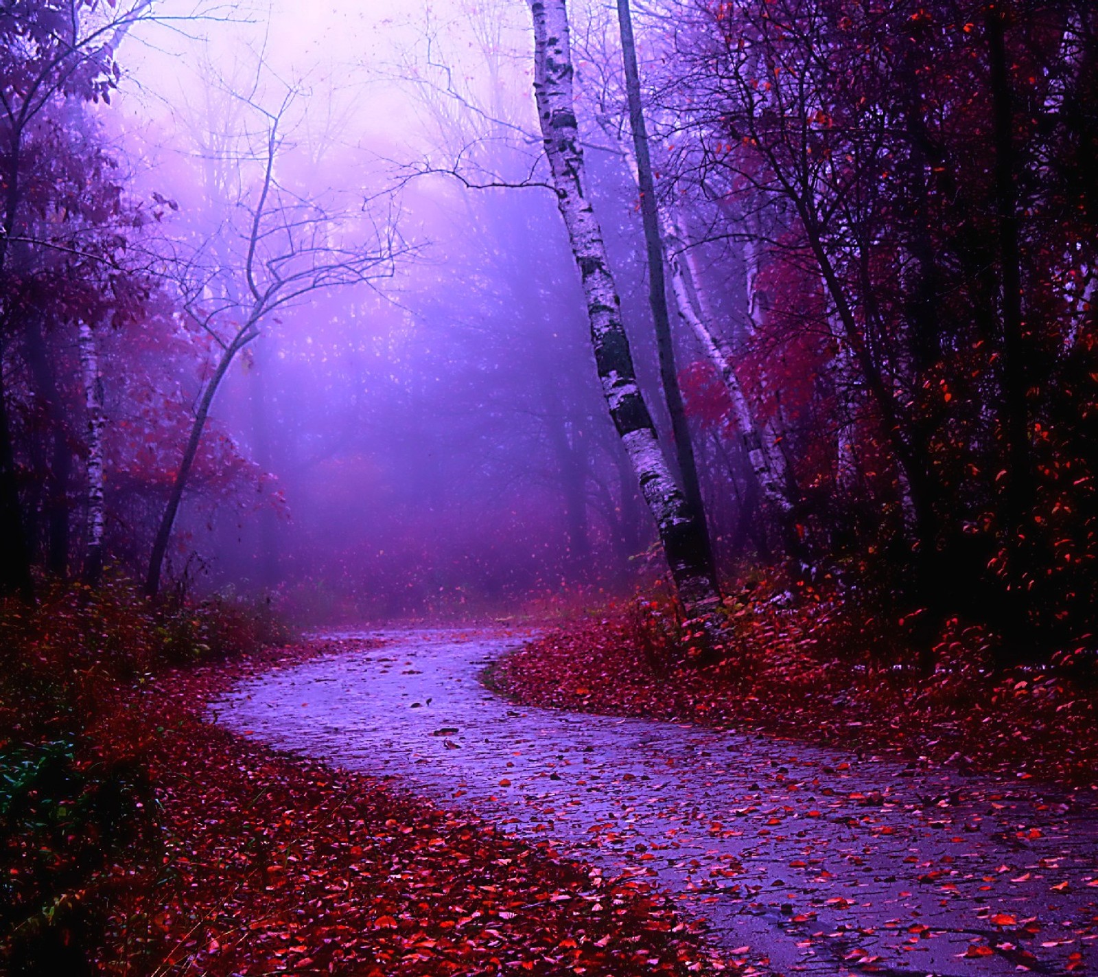 Descargar fondo de pantalla naturaleza