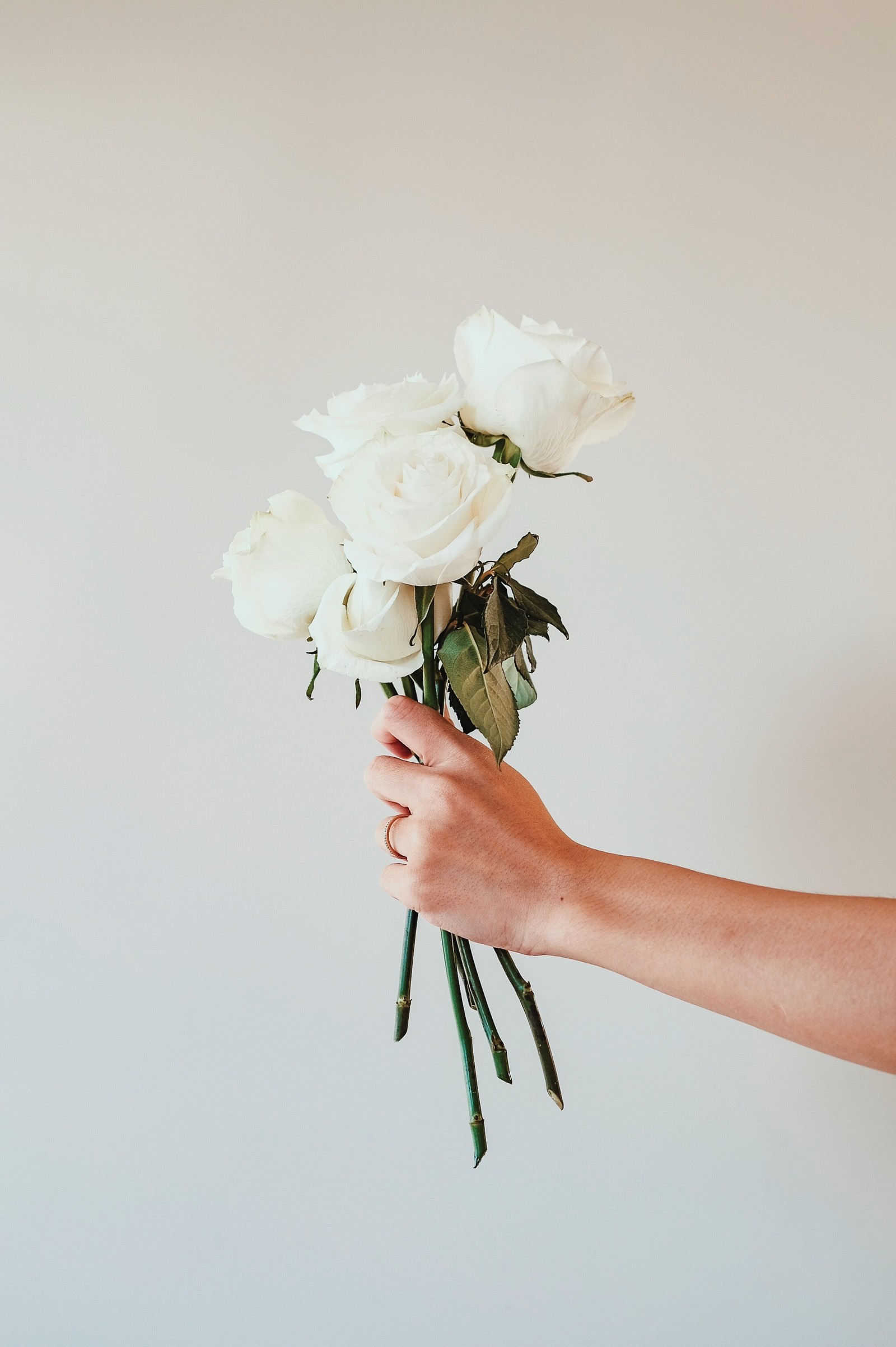 Alguien sostiene un ramo de flores blancas en su mano (rosa, diseño floral, ramo de flores, rosas de jardín, blanco)