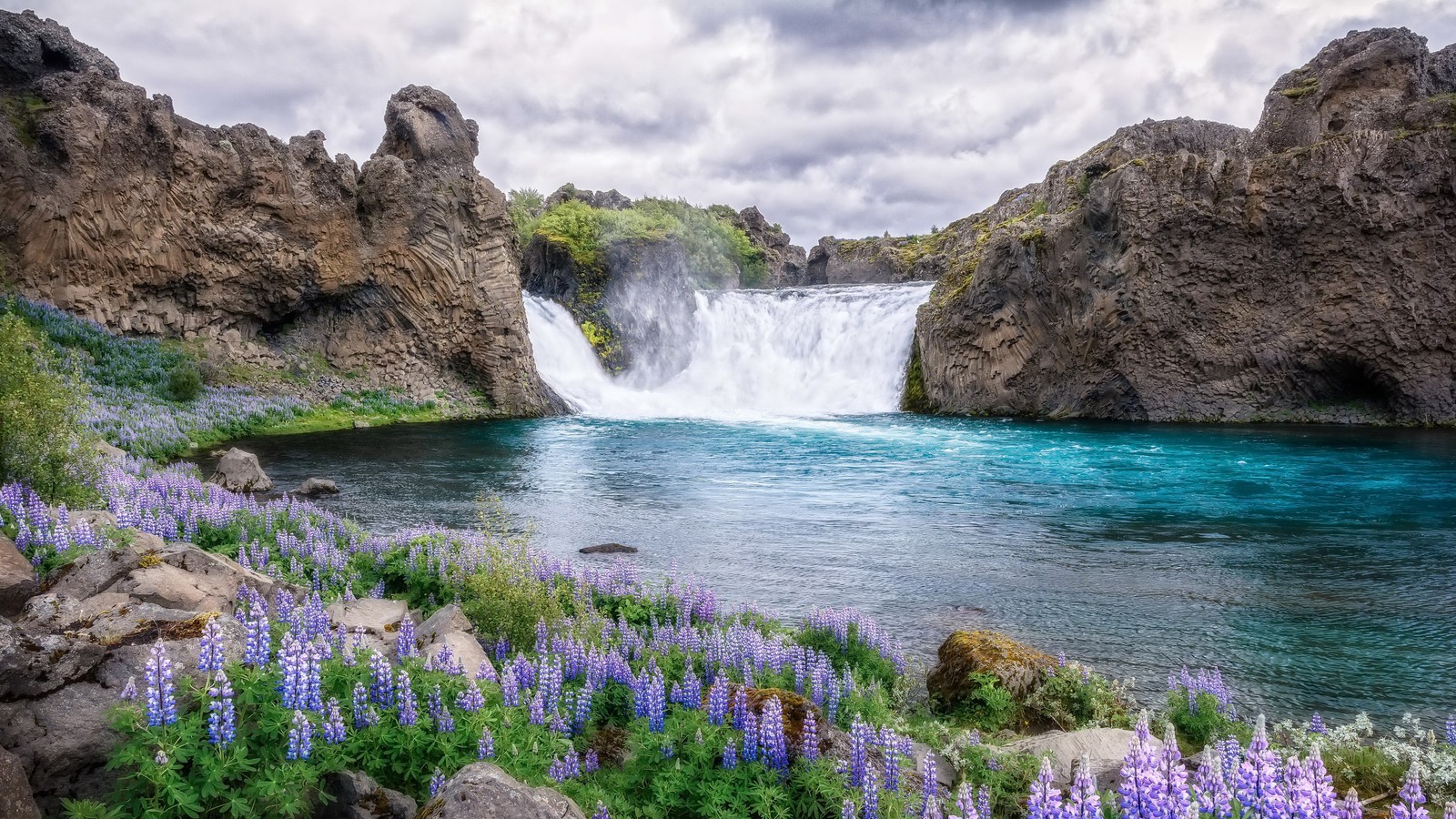 A view of a waterfall with a blue pool in the middle of it (water nature, scenery, flowers)