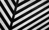 Symétrie monochrome : Un frappant motif en noir et blanc en chevrons sur toile