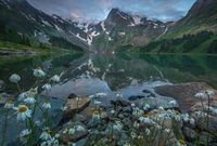 Ruhiger Gletschersee, der das majestätische Gebirgsmassiv widerspiegelt, umgeben von Wildblumen