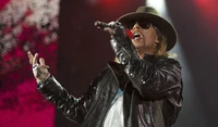 guns n roses, hard rock, konzert, leistung, musikkünstler