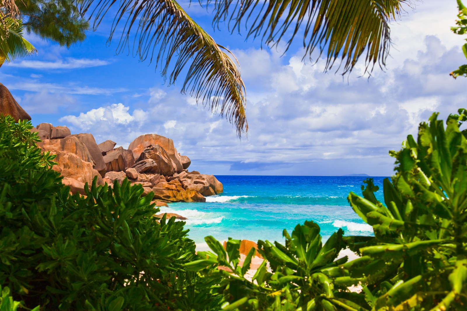 beach, sea, la digue, tropics, vegetation wallpaper