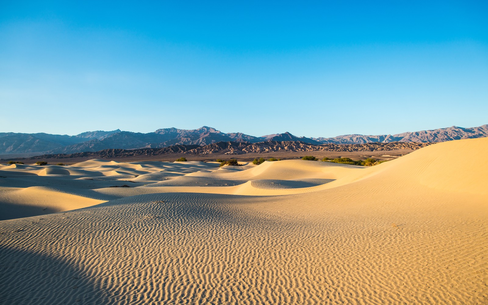 Uma vista de um deserto com dunas de areia e montanhas ao fundo (vale da morte, sobremesa, califórnia, california, dunas de areia)