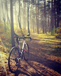 Sendero de bicicleta de otoño en el bosque