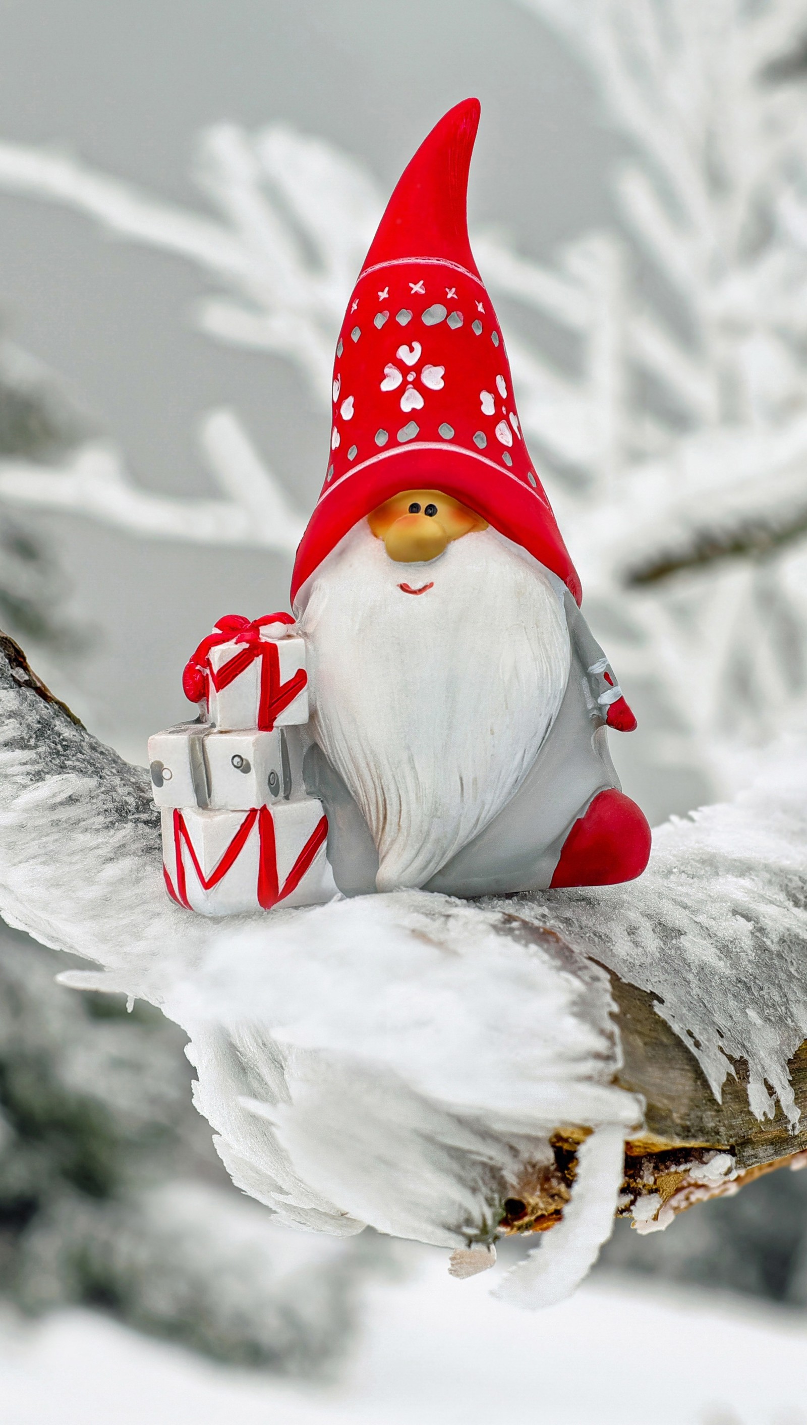 Há um gnomo sentado em um galho com um presente (anão, presentes, neve, boneco de neve, pense positivo)