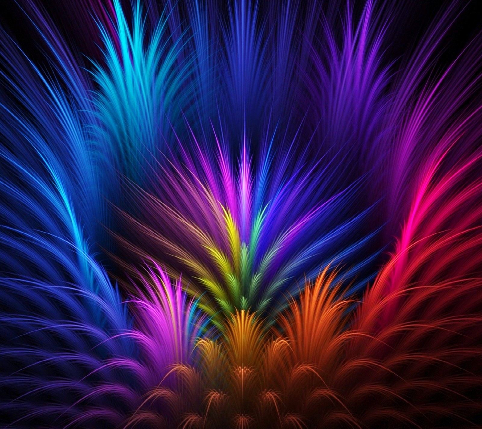 Un gros plan de plusieurs fleurs colorées sur un fond noir (abstrait, artistique, artistic colors, couleurs, plumes)