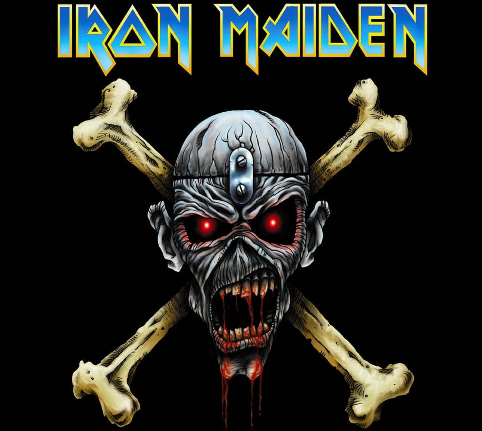 Iron maiden - das offizielle album (iron maiden, schädel)