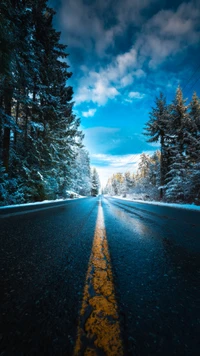 Serene Winter Road Under a Dreamy Sky