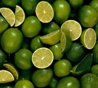 Fresh limes and lime slices scattered on a vibrant green background.