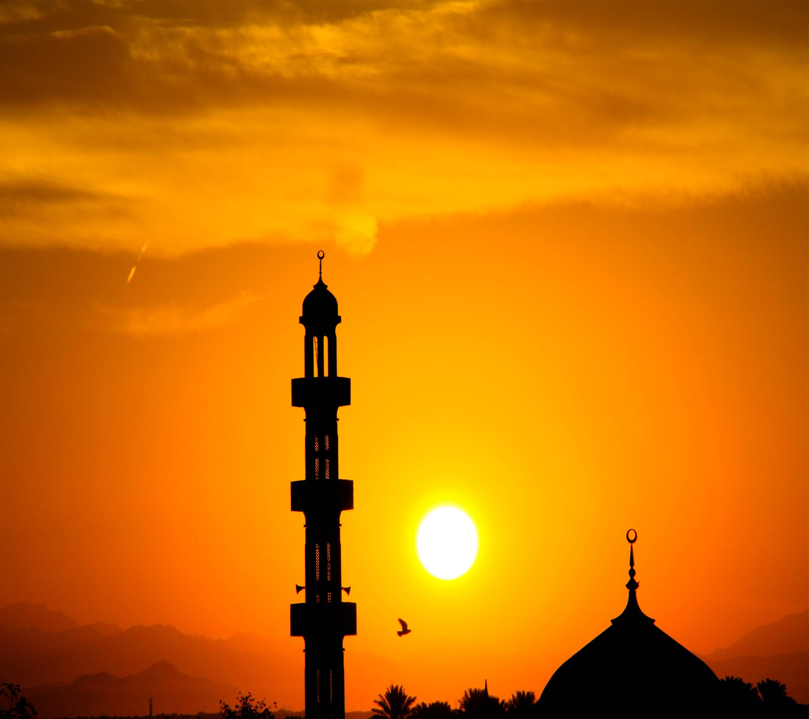 Sunset behind a mosque with a clock tower and a bird flying in the sky (spiritual, sun rise)