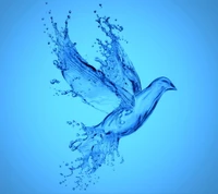 Oiseau émergeant d'un éclaboussement d'eau