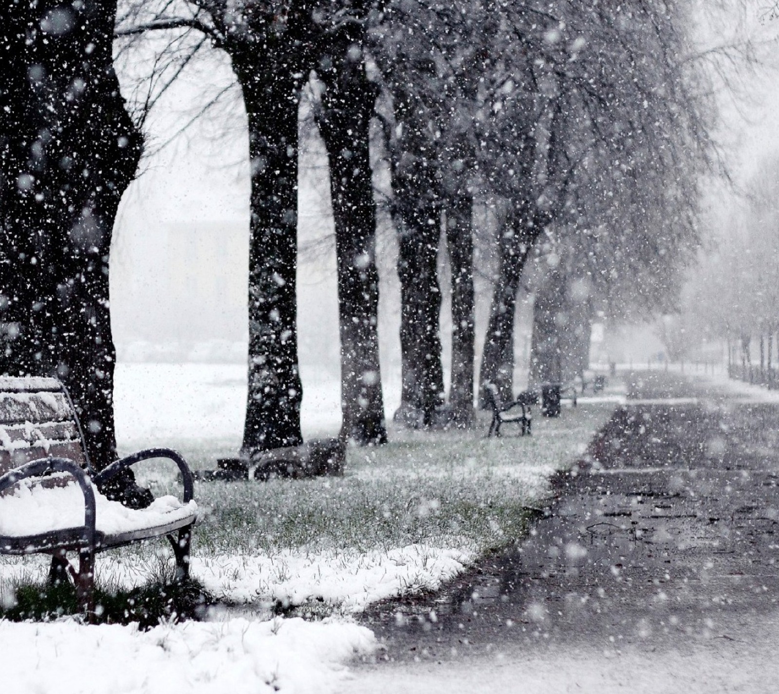 Lade bank, straße, schneebedeckt, bäume Hintergrund herunter