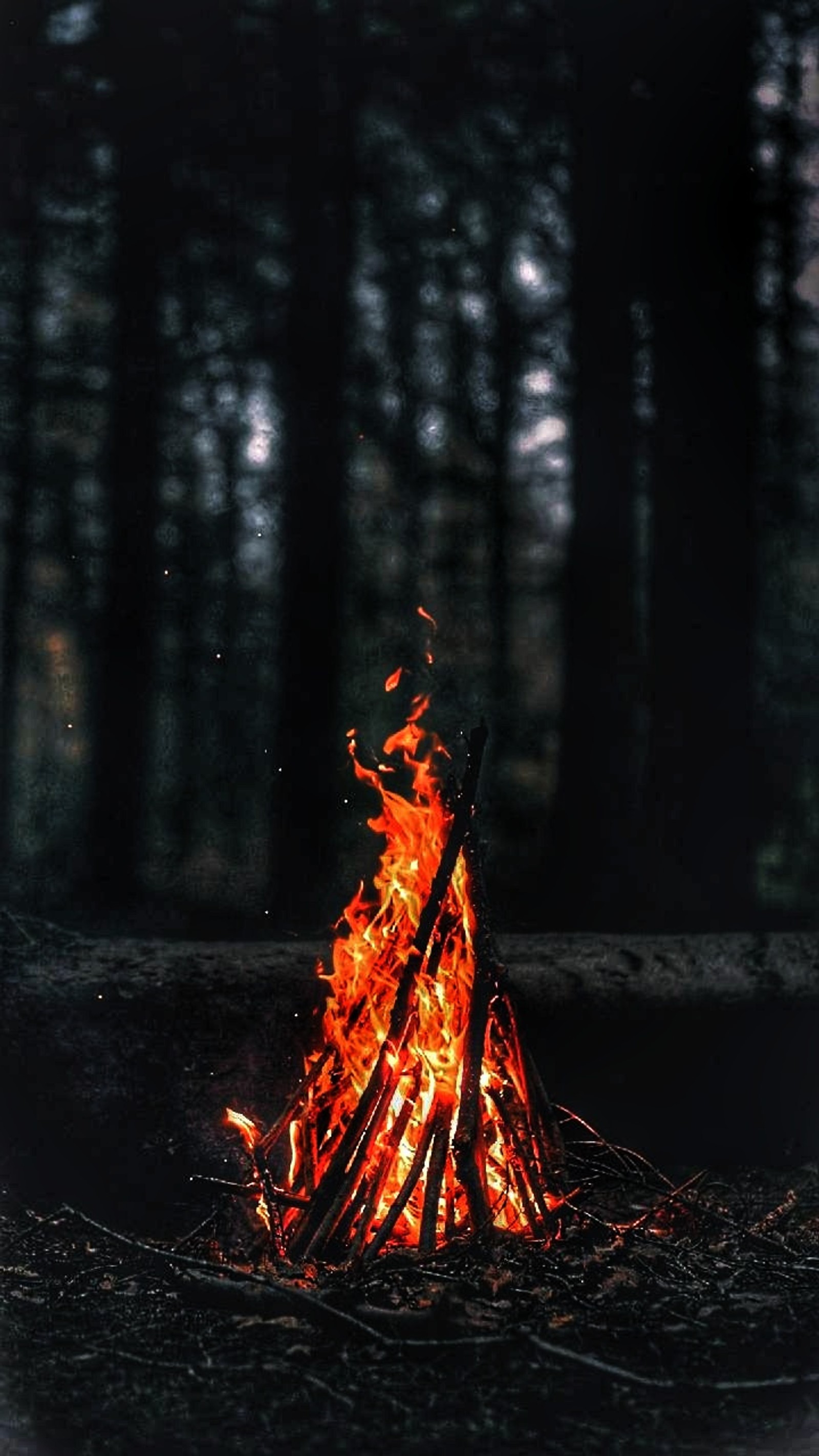 Un feu brûle au milieu des bois (feu, hdr, hd, forêt, nuit)