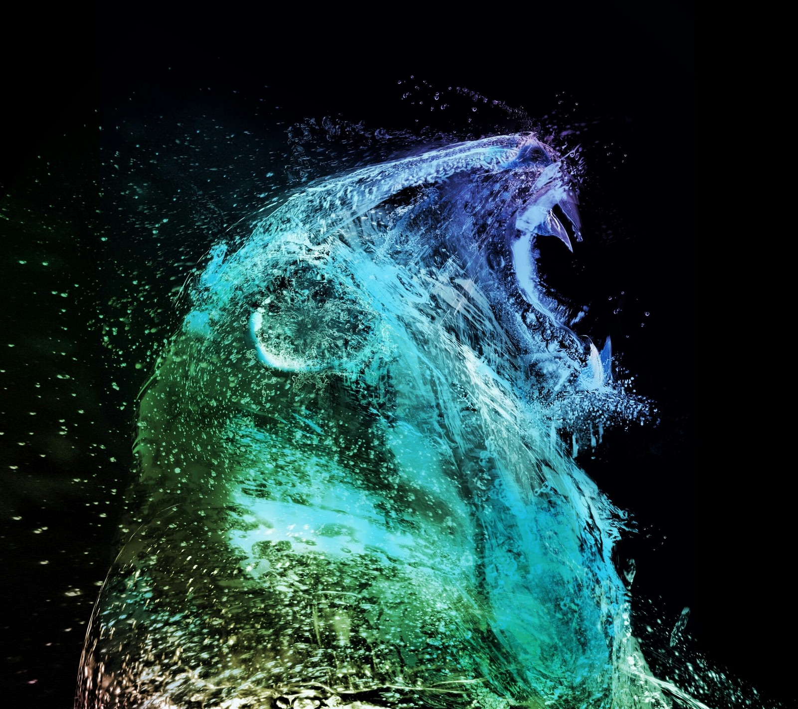 A close up of a wave with a black background and a blue and green background (lion, splash)