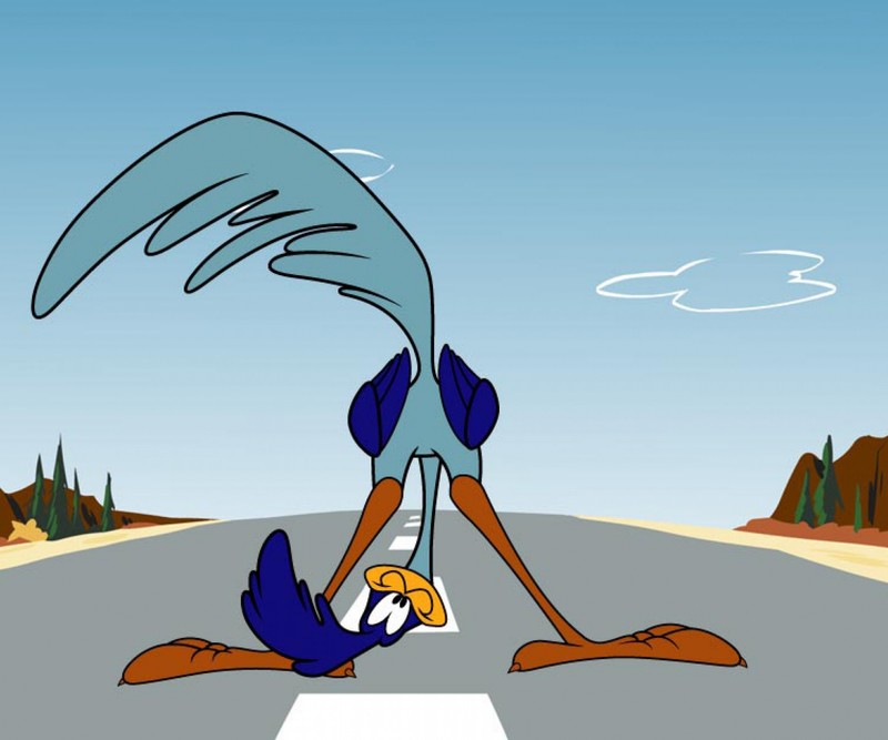 Ein cartoon-vogel steht auf der straße mit dem kopf in der luft (cartoons, road runner)