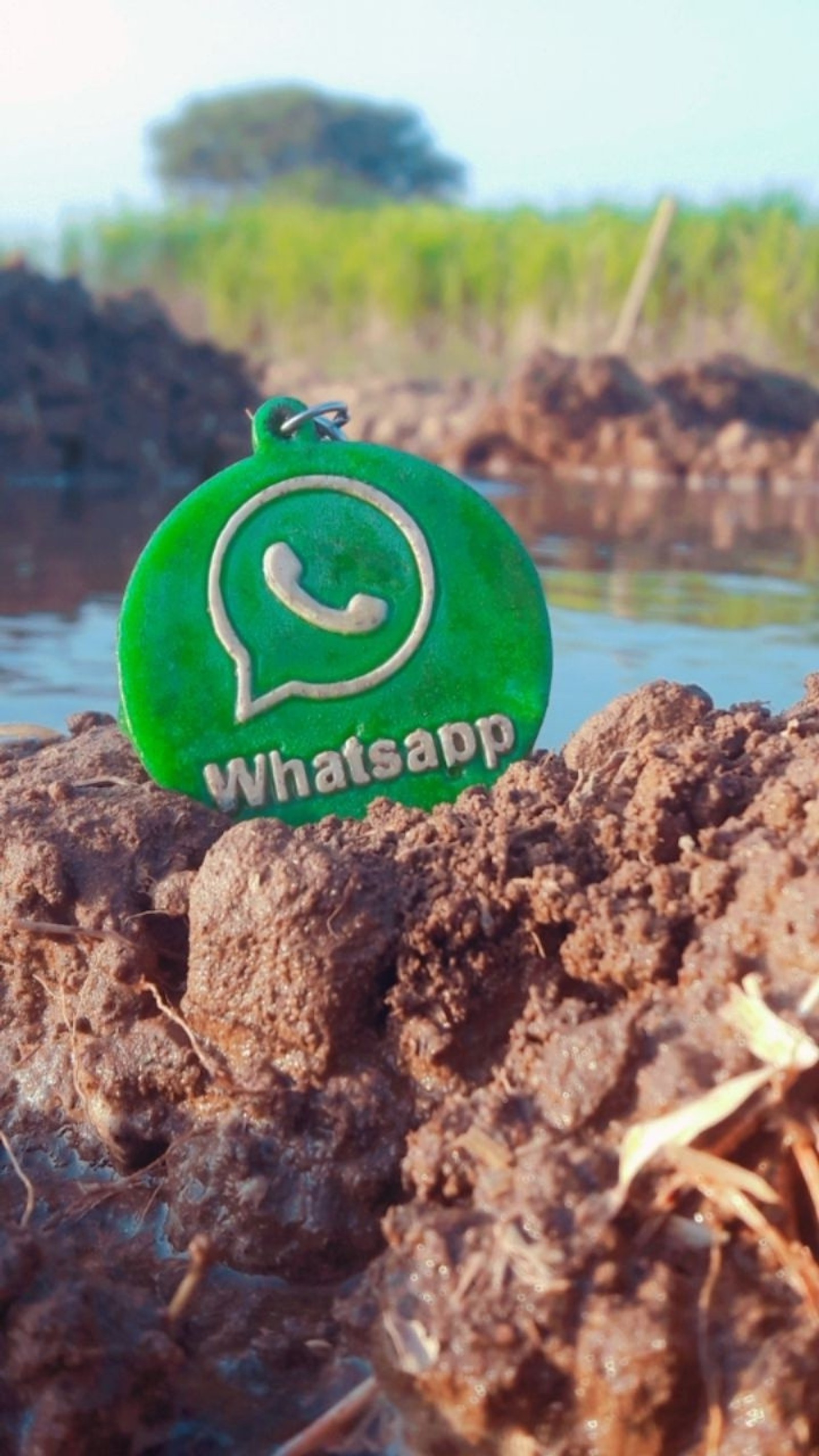 Um botão verde do whatsapp está sentado na lama (oi, whatsapp)