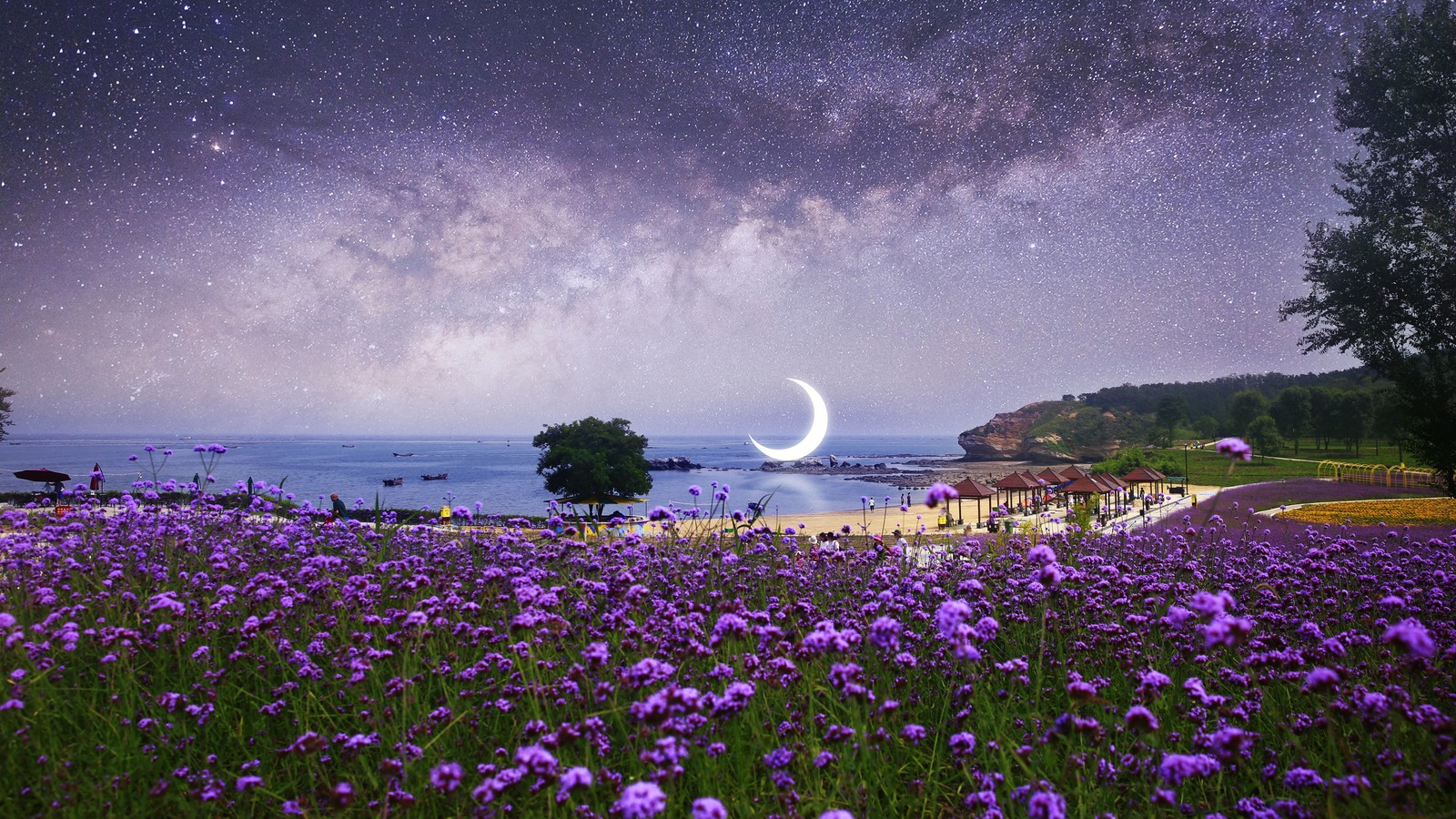 Flores roxas em um campo com um crescente no céu (lavanda, flores, natureza, paisagem, lua)