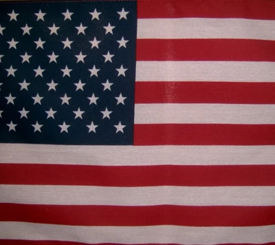 Amerikanische Flagge mit roten und weißen Streifen und blauem Sternenfeld