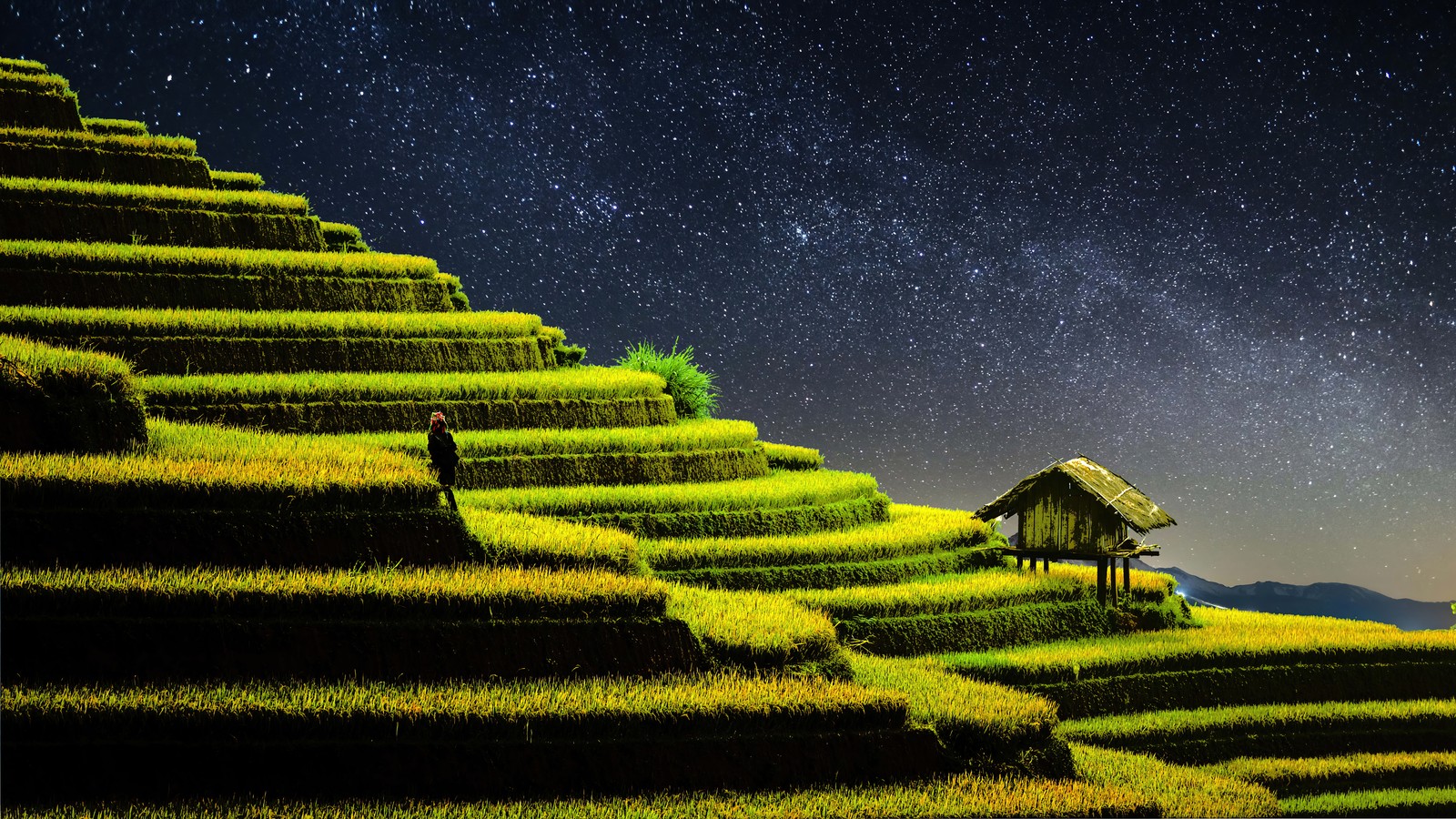 Descargar fondo de pantalla terrazas de arroz, agricultura, campos, naturaleza, noche