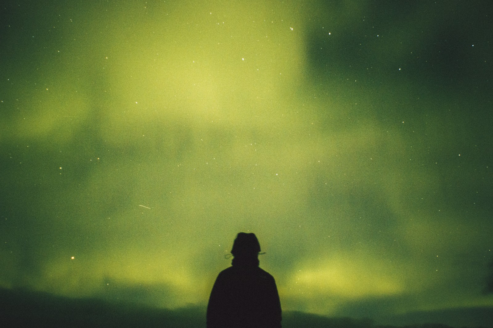 Araffe standing in front of a green aurora bore with a sky full of stars (night, aurora, green, atmosphere, light)