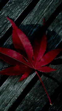 Vibrant Red Maple Leaf on Wooden Surface