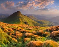 Lebendige Hochlandlandschaft mit sanften Bergen und üppigen Wiesen in der Ukraine