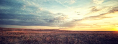 Vaste prairie sous un horizon coloré au crépuscule