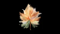 Abstraktes florales Design auf schwarzem Hintergrund für Vivo X Fold 5K AMOLED Hintergrundbild