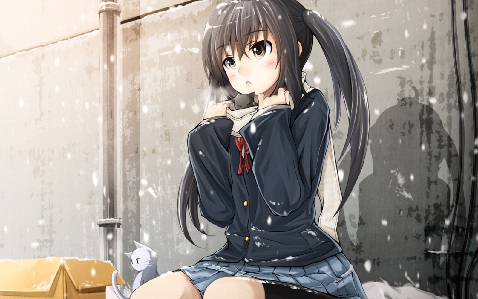 Fille anime assise sur un banc dans la neige avec un chat (azusa nakano, cheveux longs, cheveux bruns, coupe hime, mangaka)