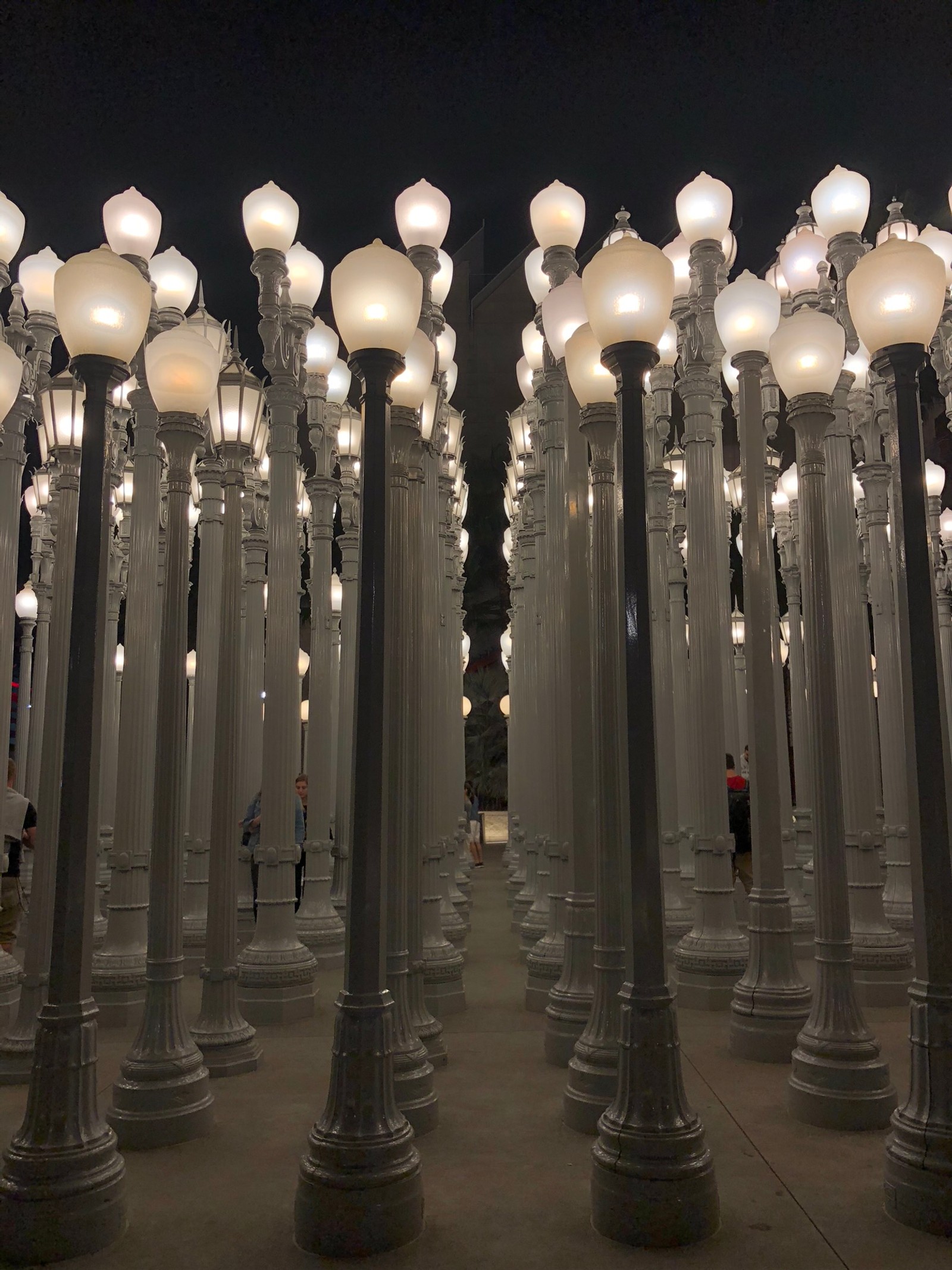 Muchas farolas blancas iluminadas en la oscuridad (hollywood, columna, lámpara, farola, física)