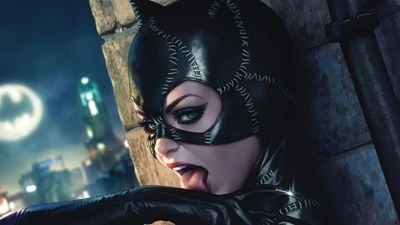 Catwoman: Die rätselhafte Antiheldin von Gotham City