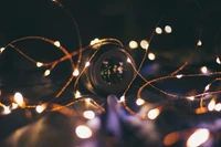 Incandescent Garland Illuminating a Camera Lens in Nighttime Space