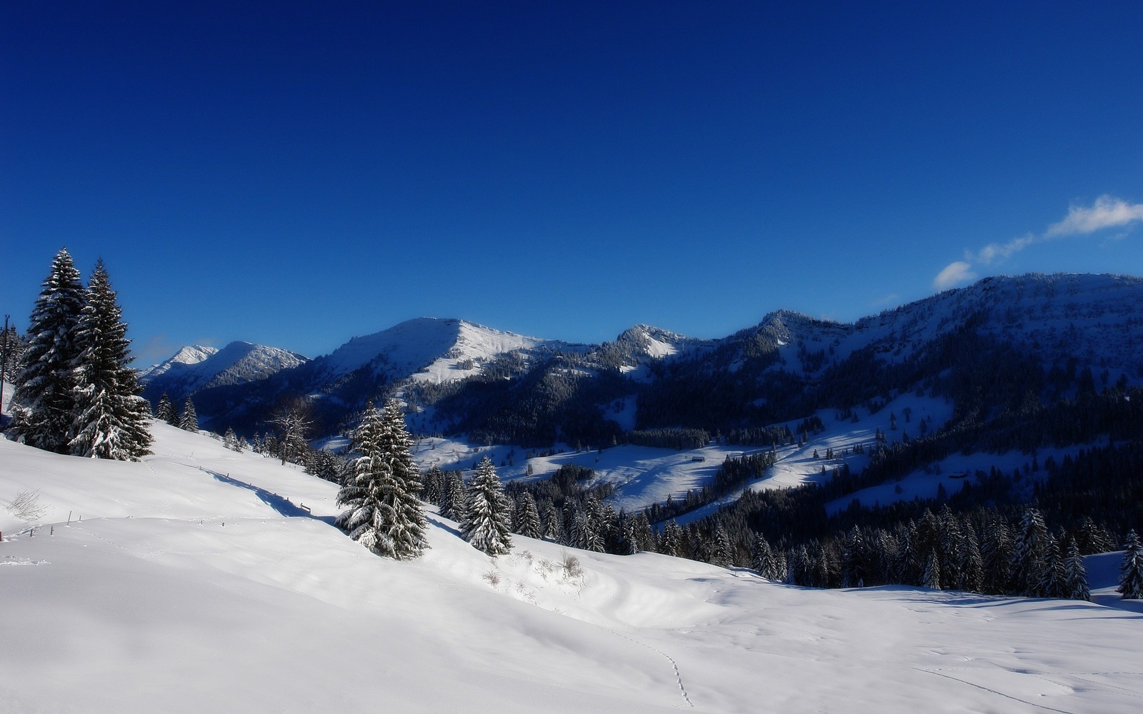 Skifahrer auf einem verschneiten hang mit bäumen und bergen im hintergrund (schnee, schweizer alpen, gebirgige landformen, gebirgskette, wolke)