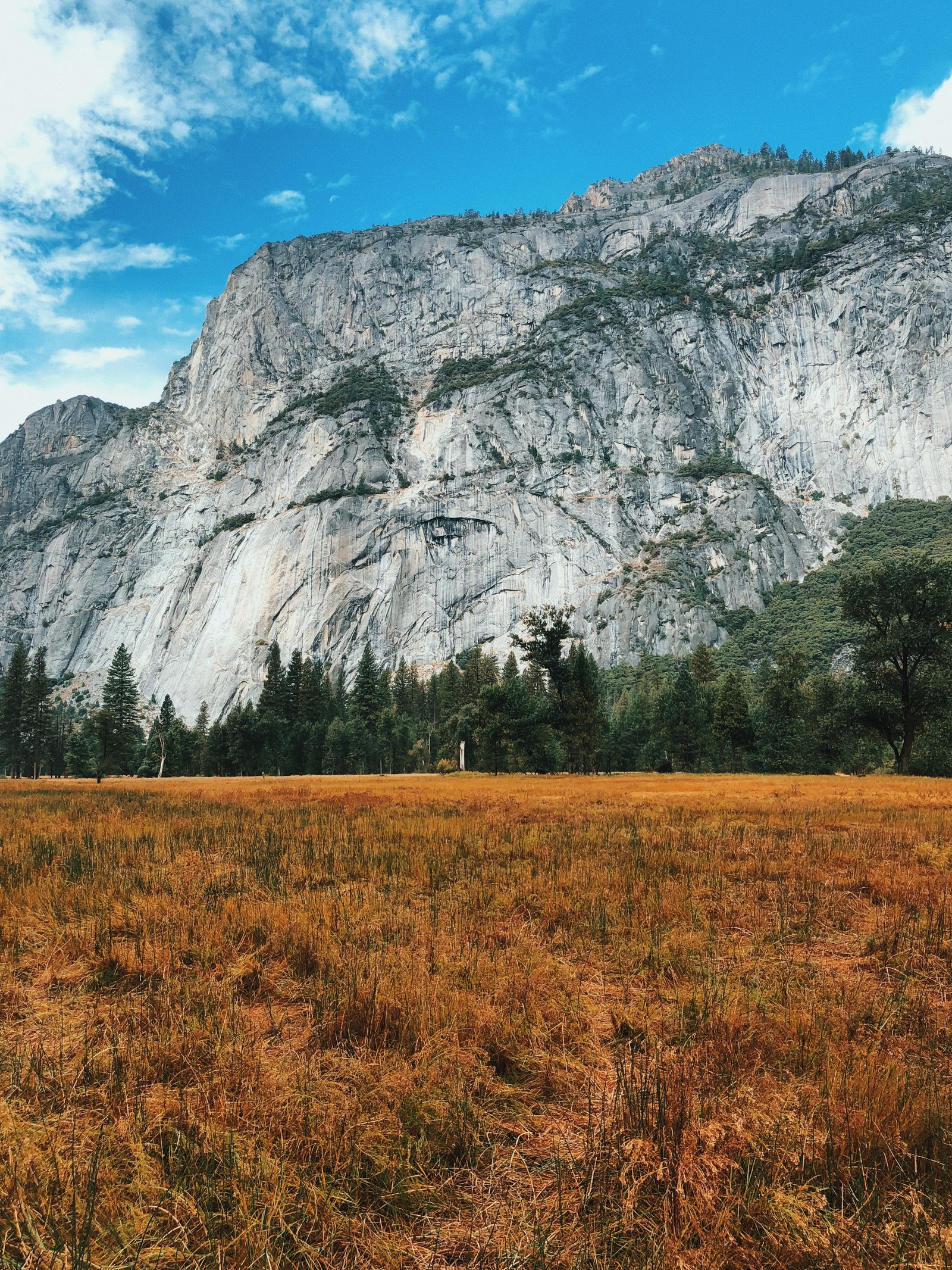 There is a large mountain in the background with a field of grass (california, usa, yosemite valley, yosemite national park, mountainous landforms)