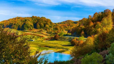 Paysage forestier automnal avec un feuillage vibrant se reflétant dans un cours d'eau serein au milieu de collines ondulées.