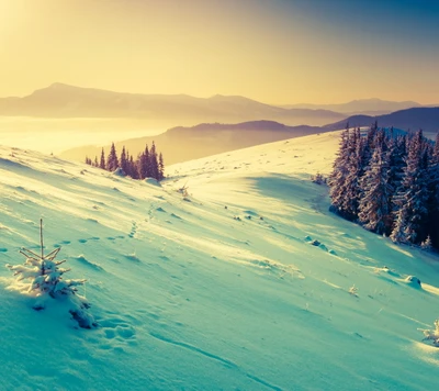 Paisagem de inverno serena ao pôr do sol com montanhas cobertas de neve e pinheiros