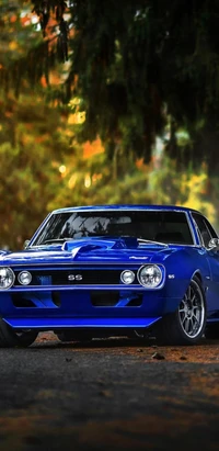 Classic Blue SS Car in a Forest Setting