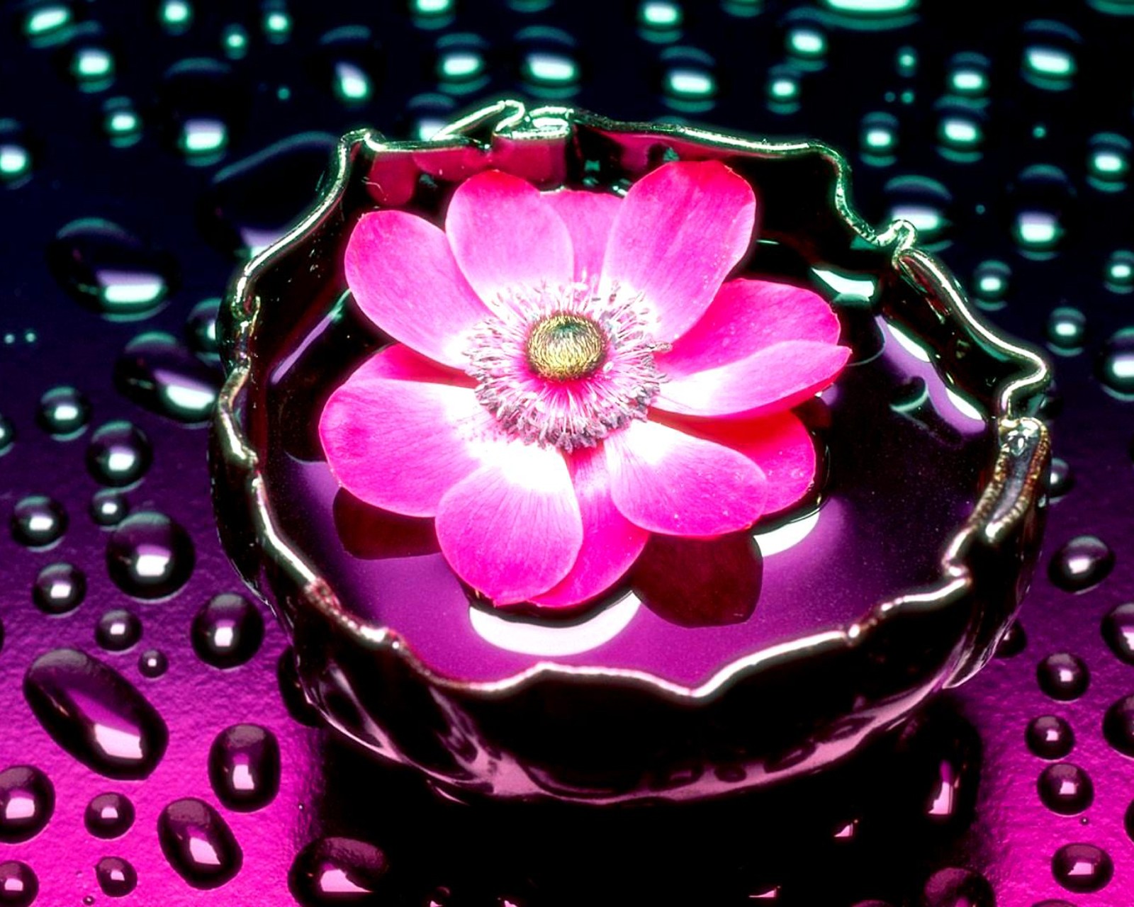 Purple flower in a bowl of water with water droplets (flower, water)